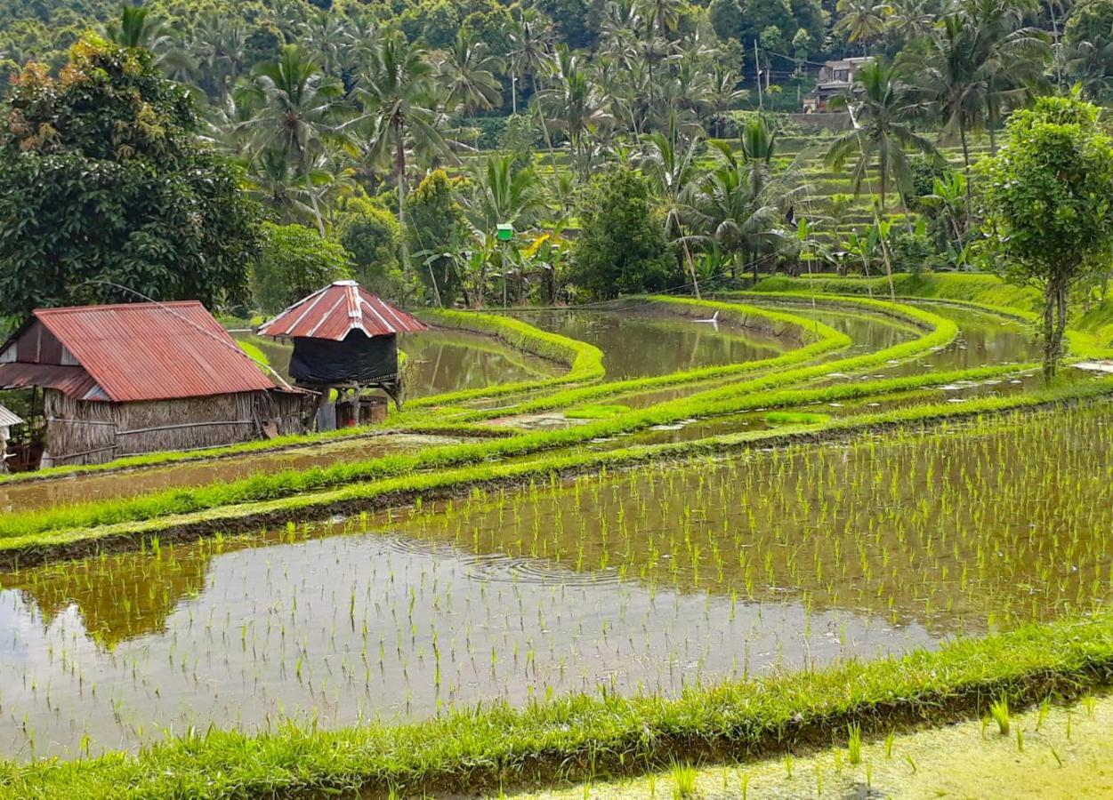 Bali Munduk Delux Bungalow Villa Singaraja Kültér fotó