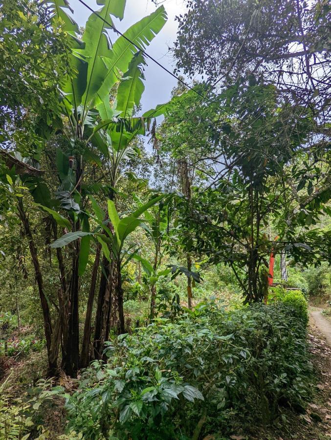 Bali Munduk Delux Bungalow Villa Singaraja Kültér fotó