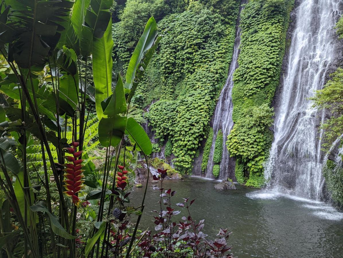 Bali Munduk Delux Bungalow Villa Singaraja Kültér fotó