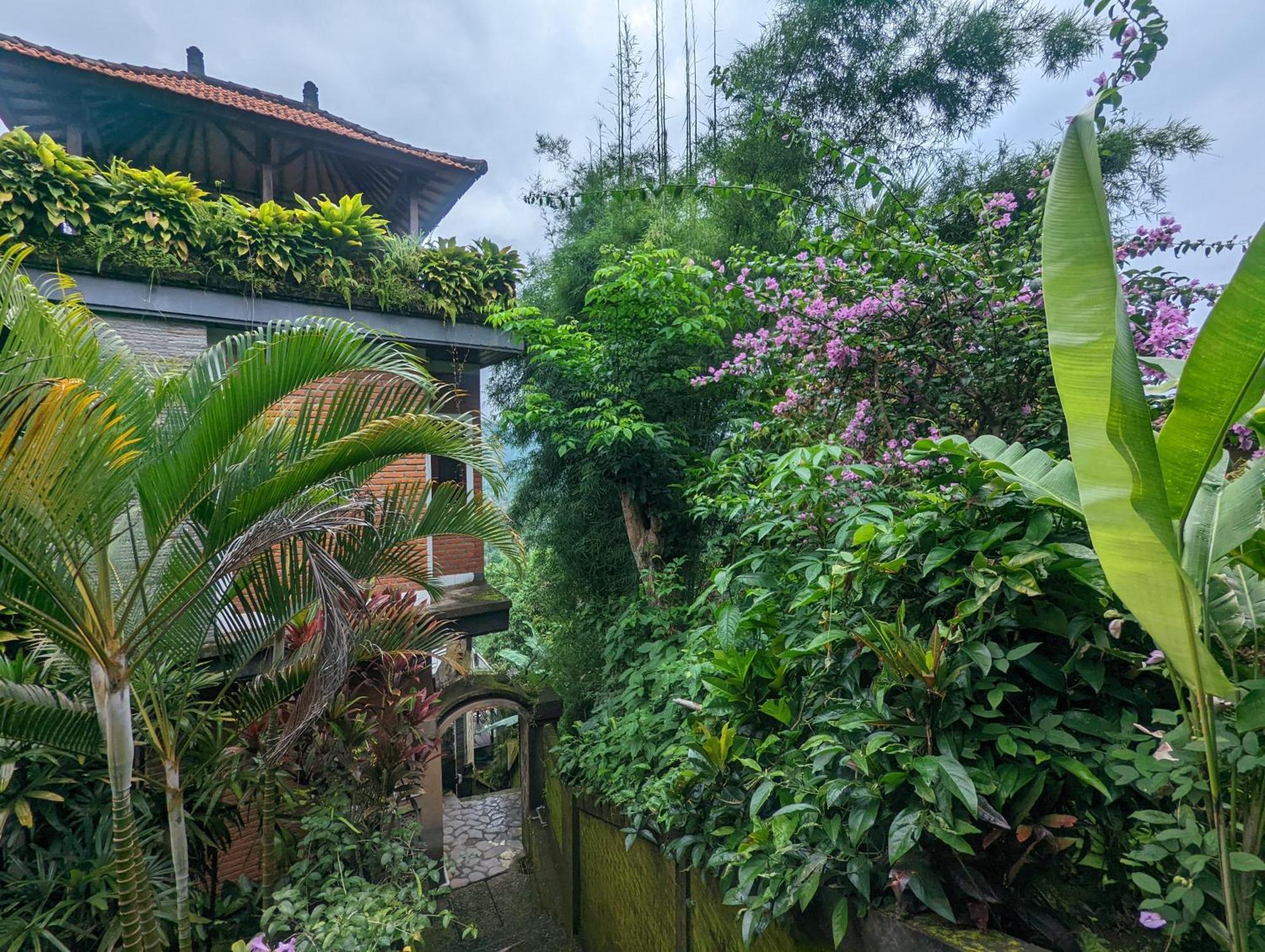 Bali Munduk Delux Bungalow Villa Singaraja Kültér fotó