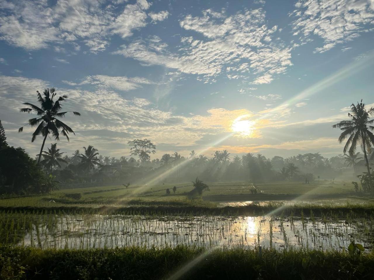 Bali Munduk Delux Bungalow Villa Singaraja Kültér fotó